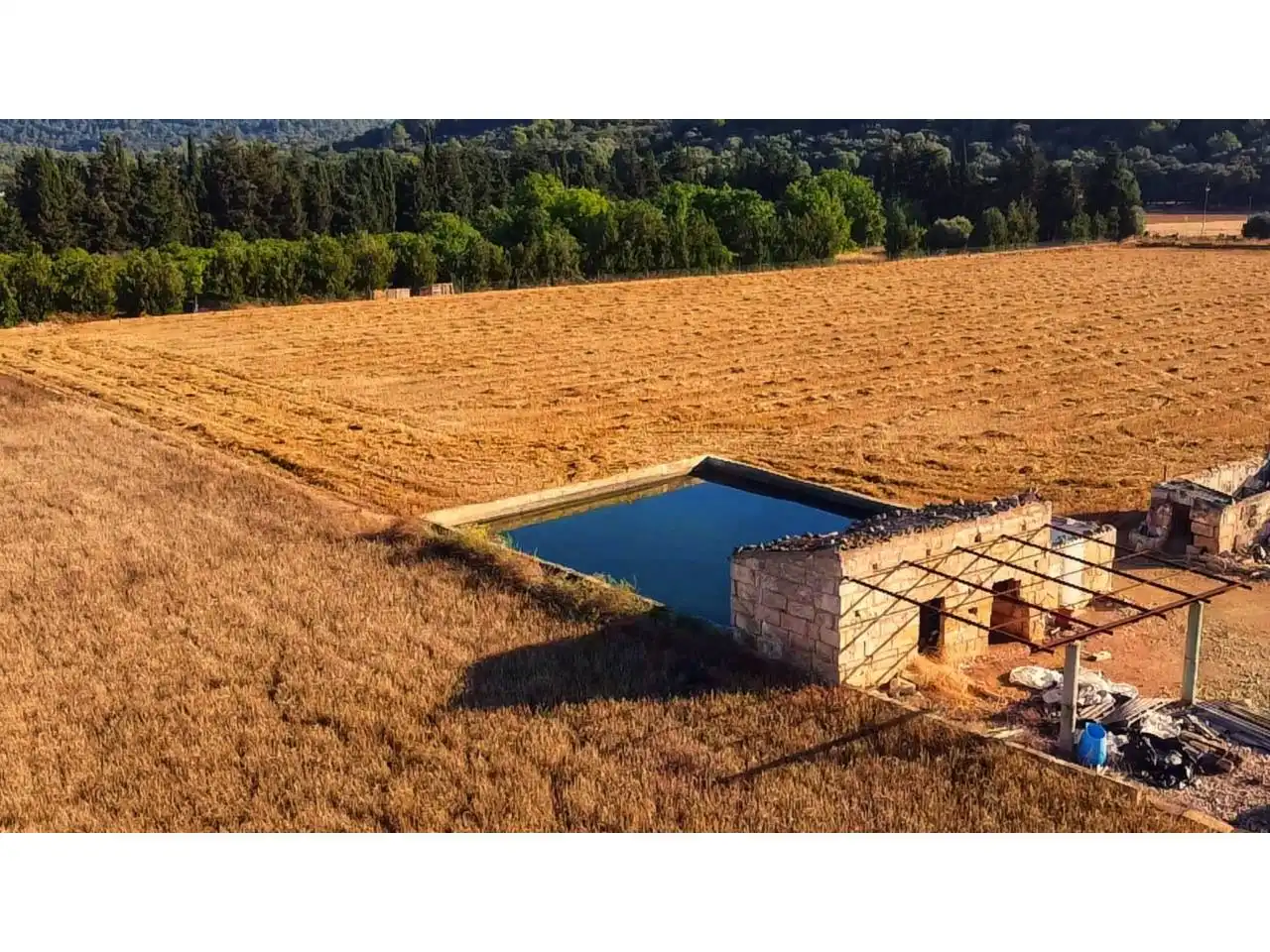 Rural land for sale in Sa Pobla, imagen 7