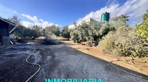Foto 4 de Finca rústica en venta en San Roque - La Cruz - La Rozuela, Linares