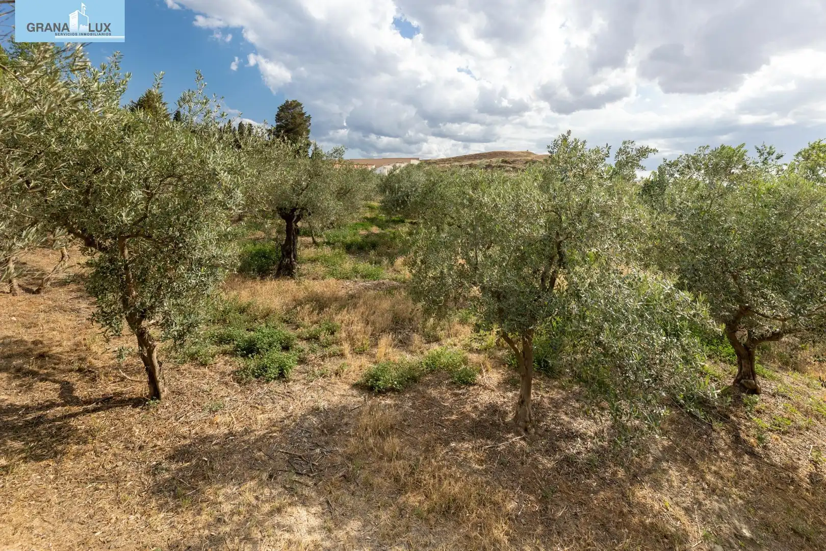 Terreno rustico in vendita a Calle POL 1, PARC 176, imagen 12