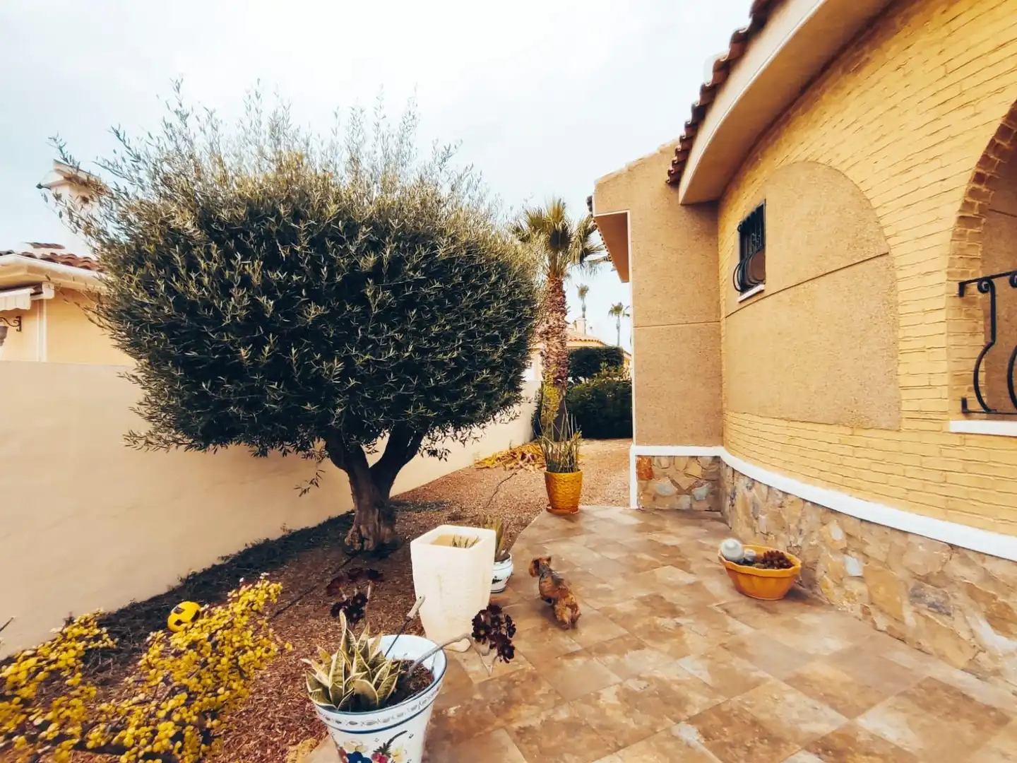 Jardí de Casa o xalet en venda en Benijófar amb Calefacció, Jardí privat i Terrassa