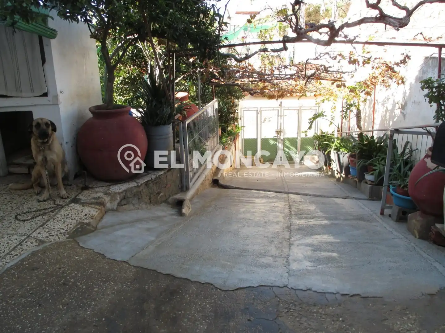 Vista exterior de Casa o chalet en venta en Rojales con Jardín privado, Terraza y Trastero