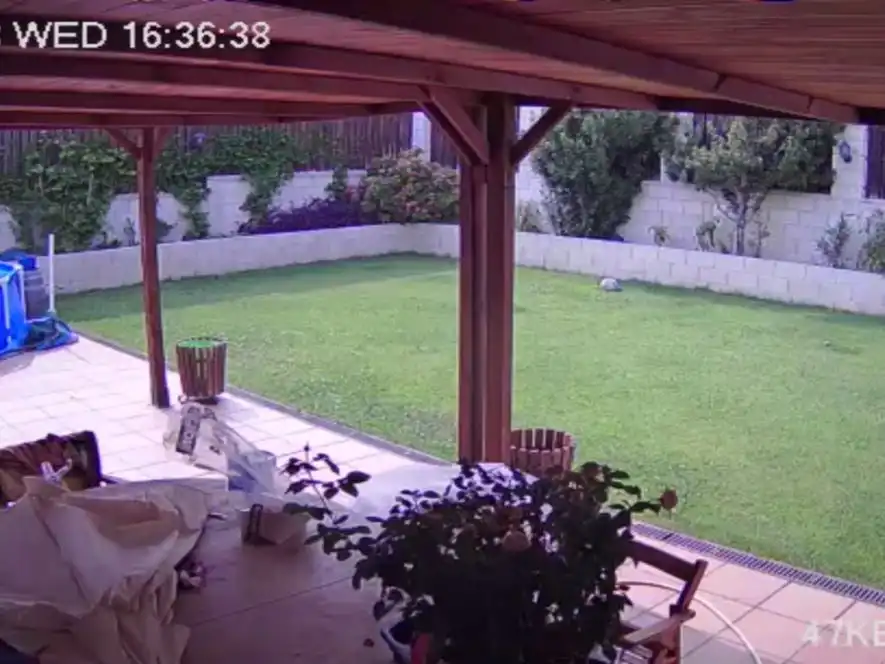 Xalet amb jardí en venda a Calle francia 15, imagen 8