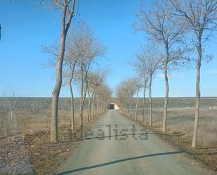 Terreny en venda en Manzaneque