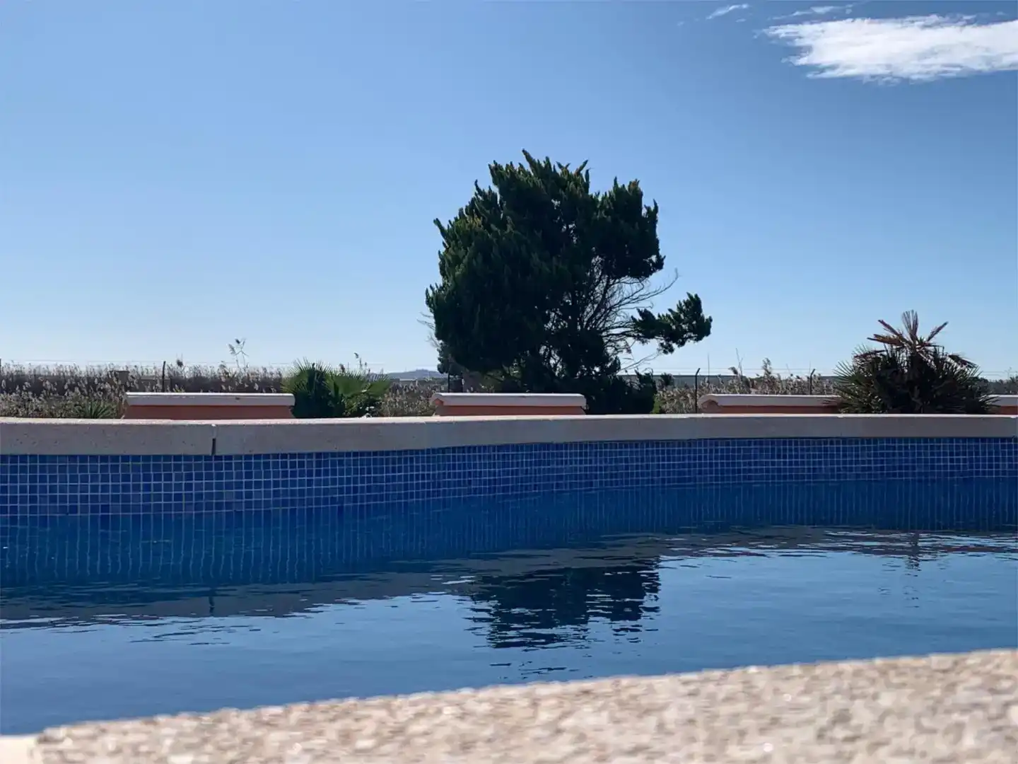Piscina de Planta baixa en venda en Dolores amb Aire condicionat, Piscina i Balcó