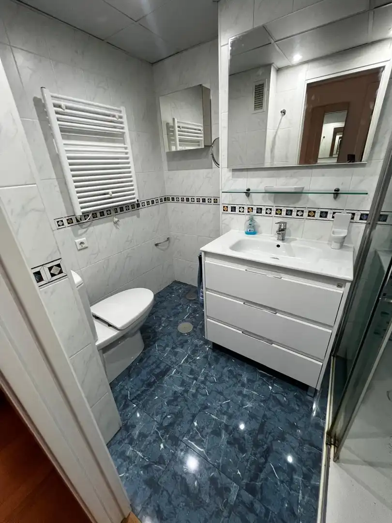 Bathroom of Flat for rent in Córdoba  with Air Conditioner, Heating and Parquet flooring