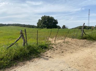 Rustikales Grundstück zum Verkauf in Vejer