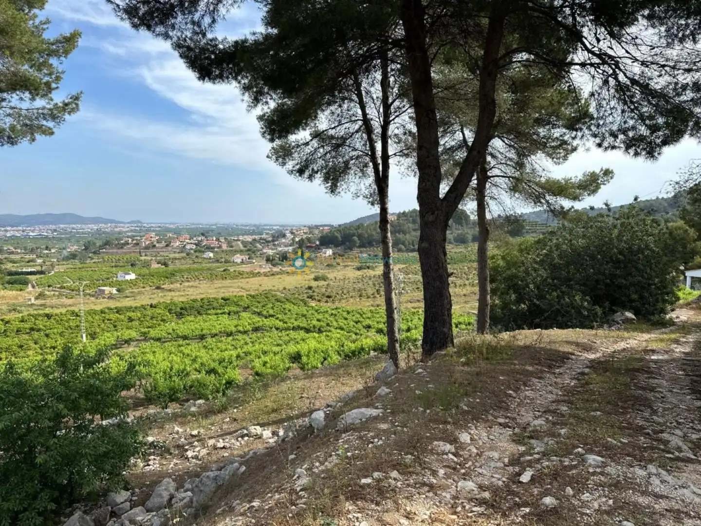 Terreny rústic en venda a La Font d'en Carròs, imagen 19