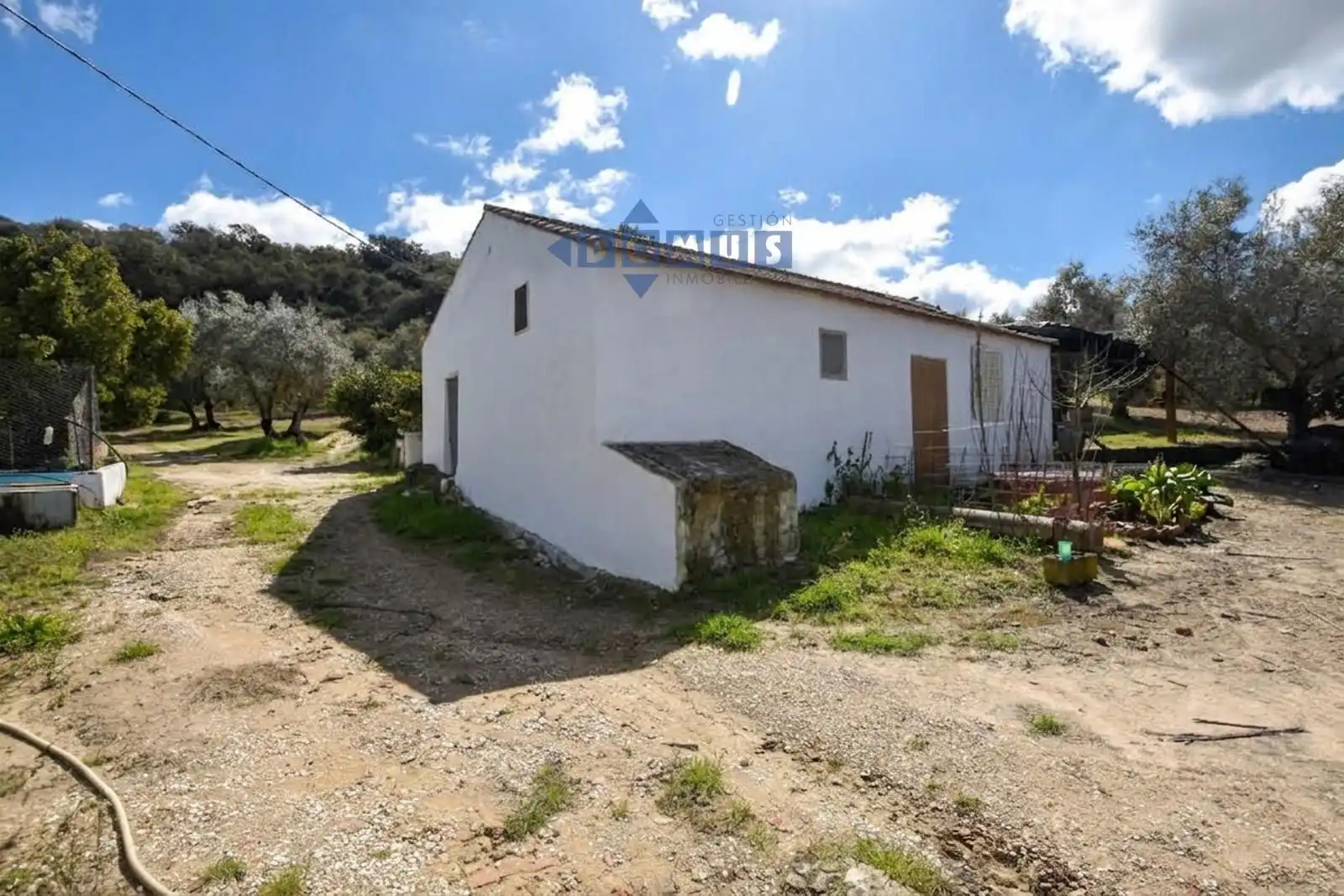 Casa rústica amb piscina en venda a Partidas Norte, imagen 3