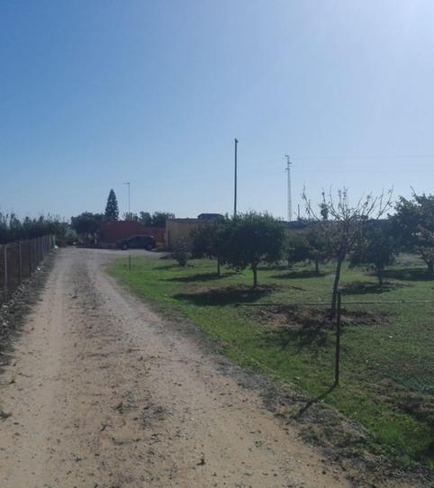 Photo 2 of Country house for sale in La Jara, Sanlúcar de Barrameda