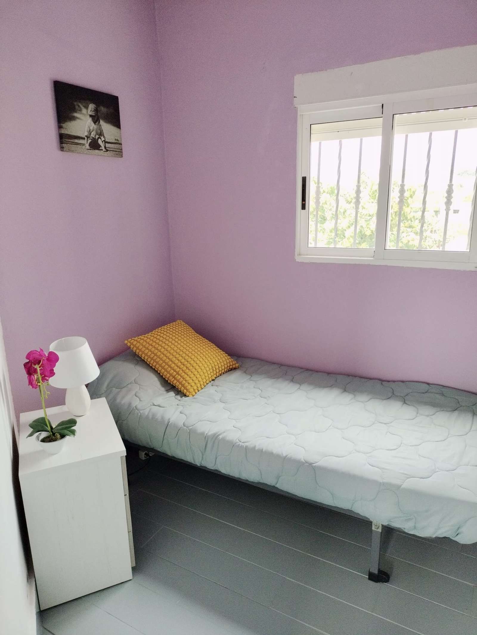 Flat to share in Daimús