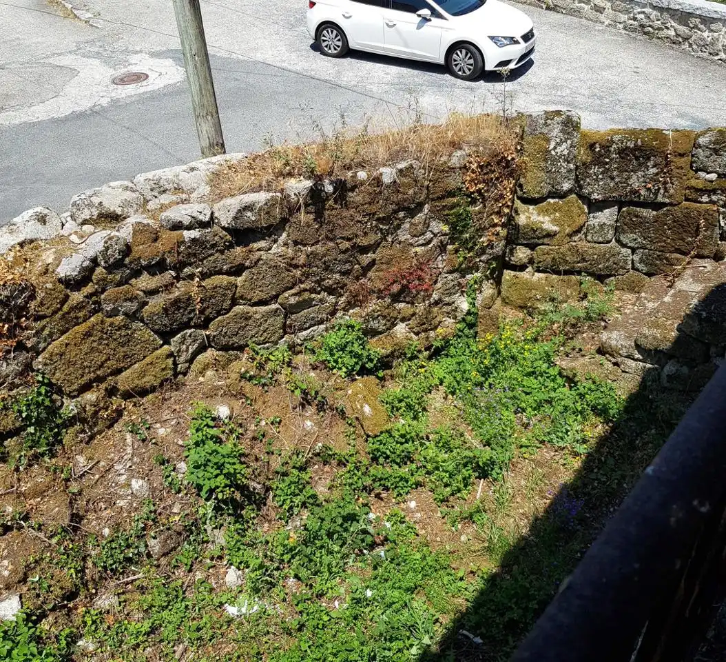 Casa o xalet en venda en O Pereiro de Aguiar  amb Jardí privat