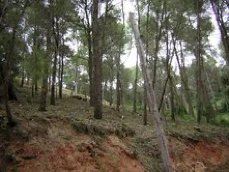 Residential land for sale in Piera, imagen 5
