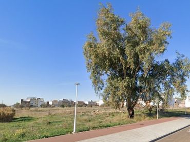 Terrain rustique à vendre à Maria Auxiliadora - Barriada de Llera