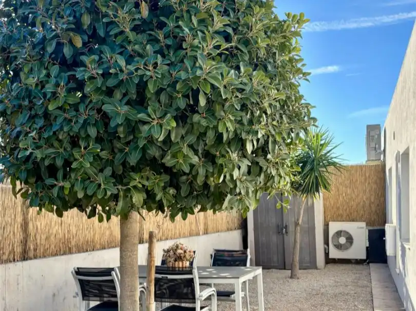 Casa pareada con piscina en venta en Edmundo Dantés 18, imagen 9