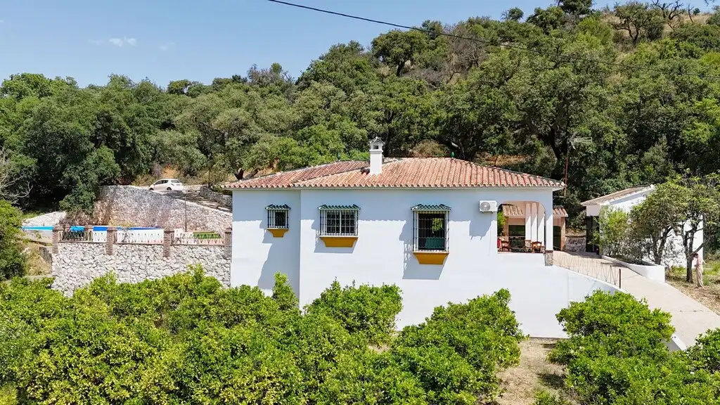 Villa mit Pool zum Verkauf in Centro, imagen 13