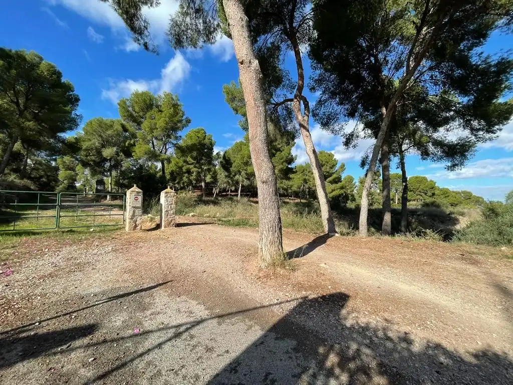 Terreny residencial en venda a Calle del Pino
