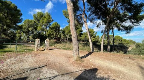 La Alberca, zona Verdolay, Cl.Pino parcela exclusiva de 14.000 m2 junto parque Regional El Valle