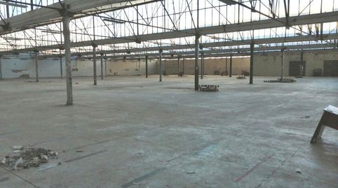 Foto 5 von Fabrikhallen zur Miete in Peña de las Águilas, Elche / Elx