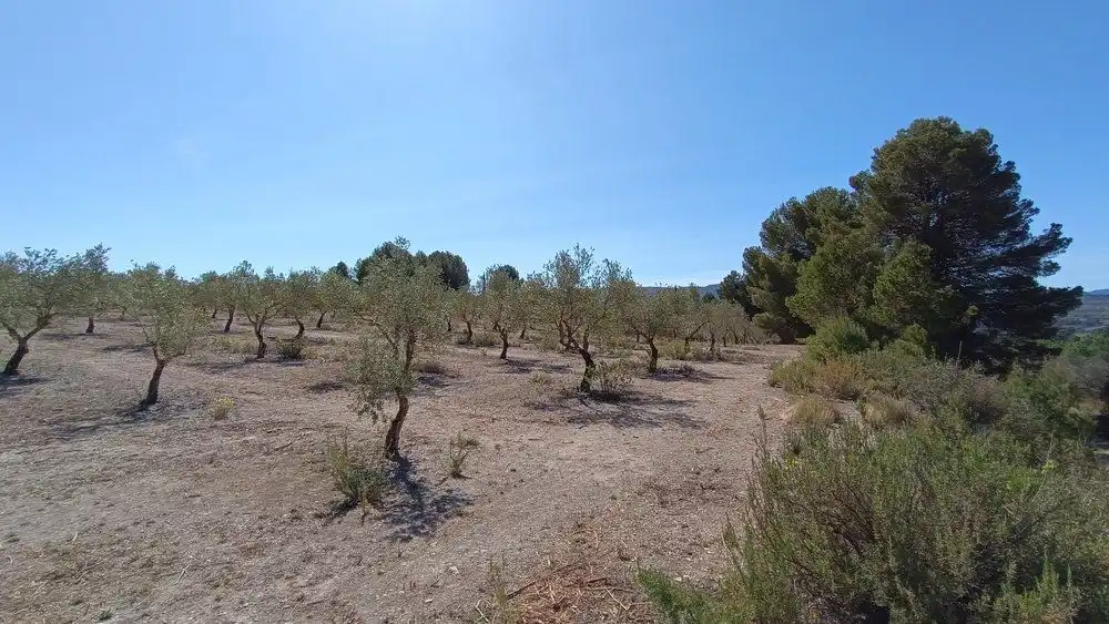 Residencial en venta en Gaianes