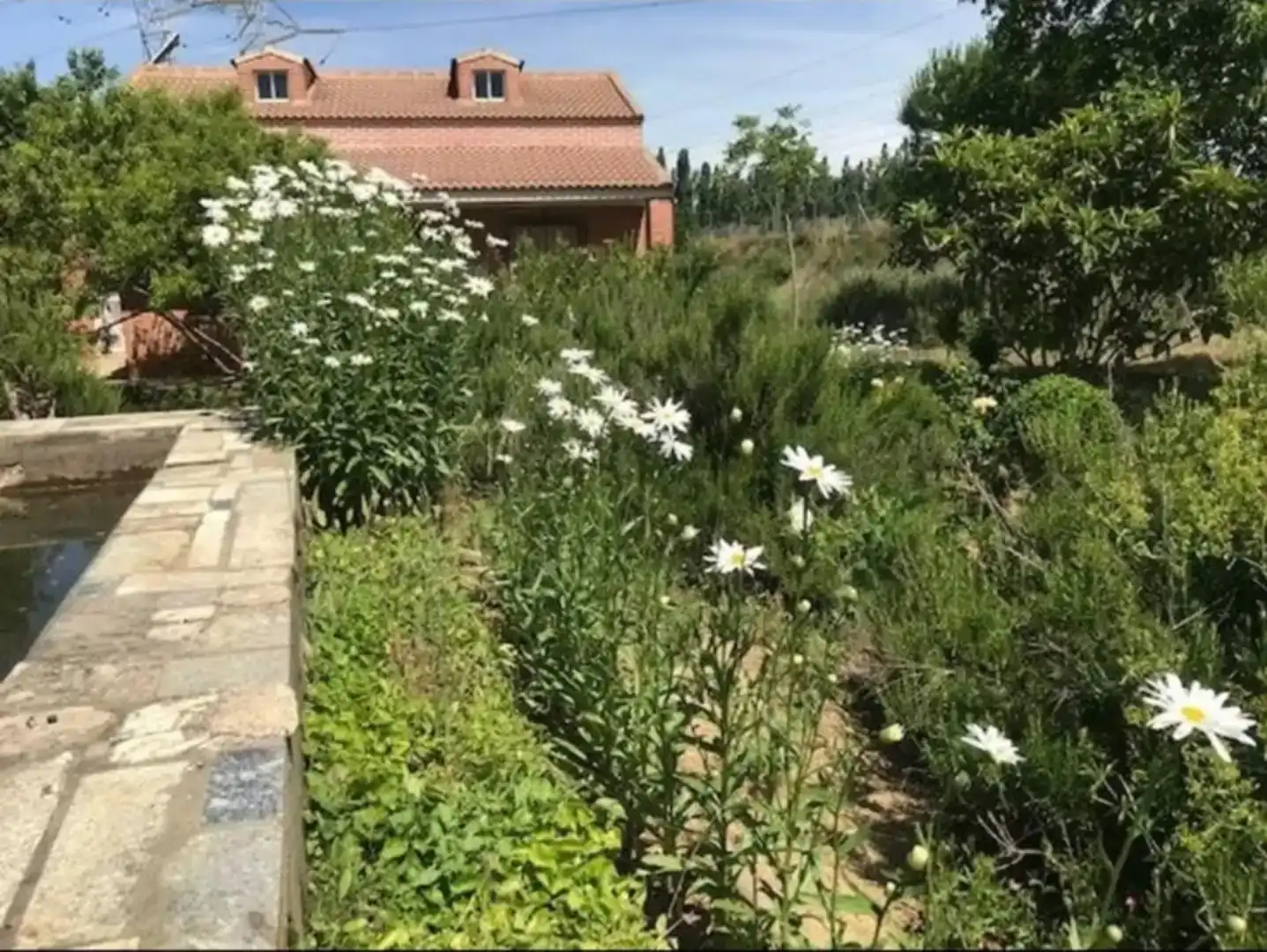 Jardí de Casa o xalet en venda en Palencia Capital