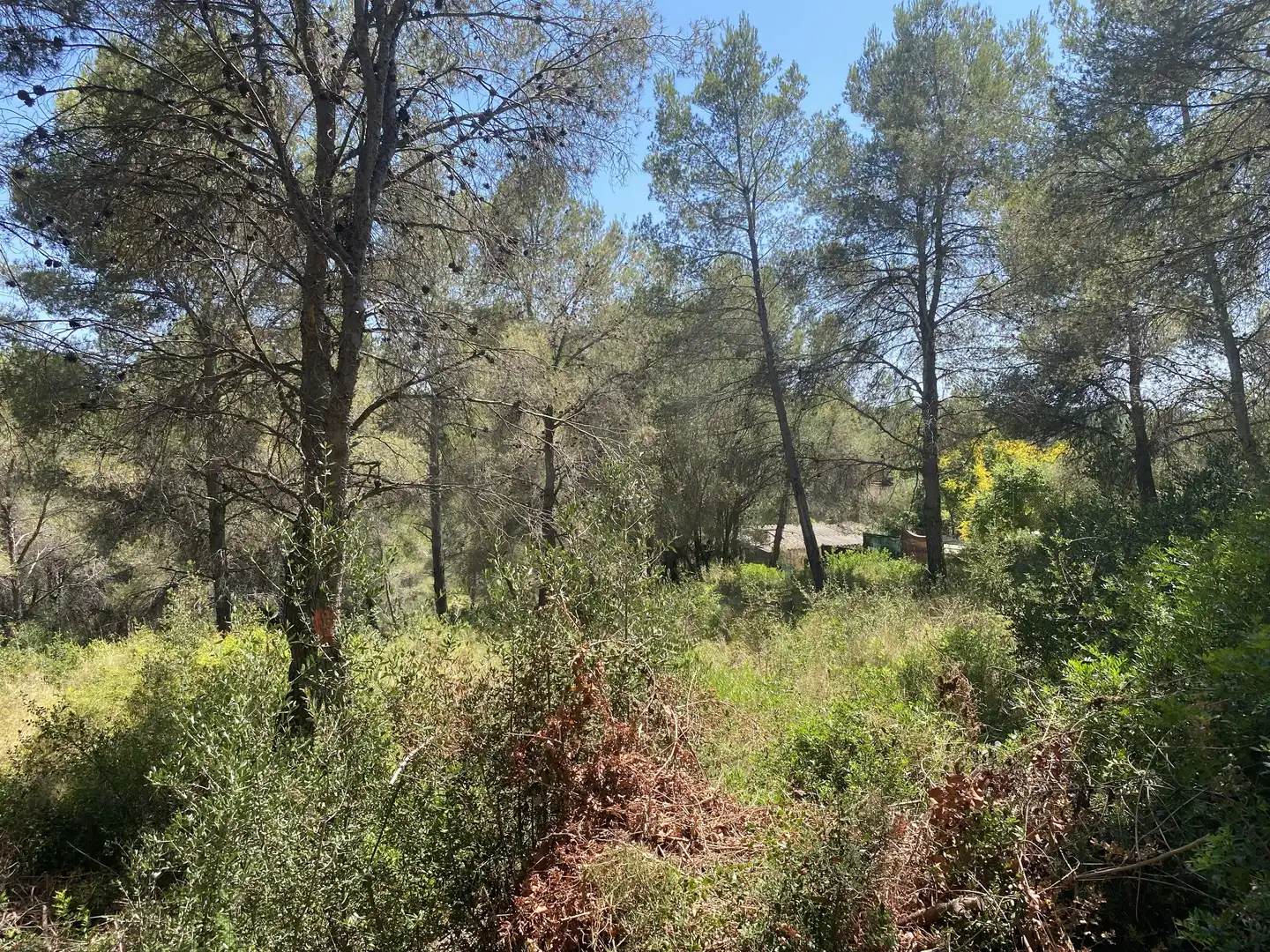 Residential land for sale in Urbanitzacions de Llevant, imagen 26
