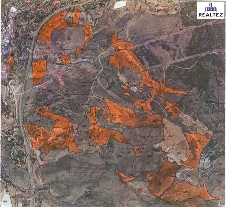 Terrain rustique à vendre à Alcolea, imagen 18