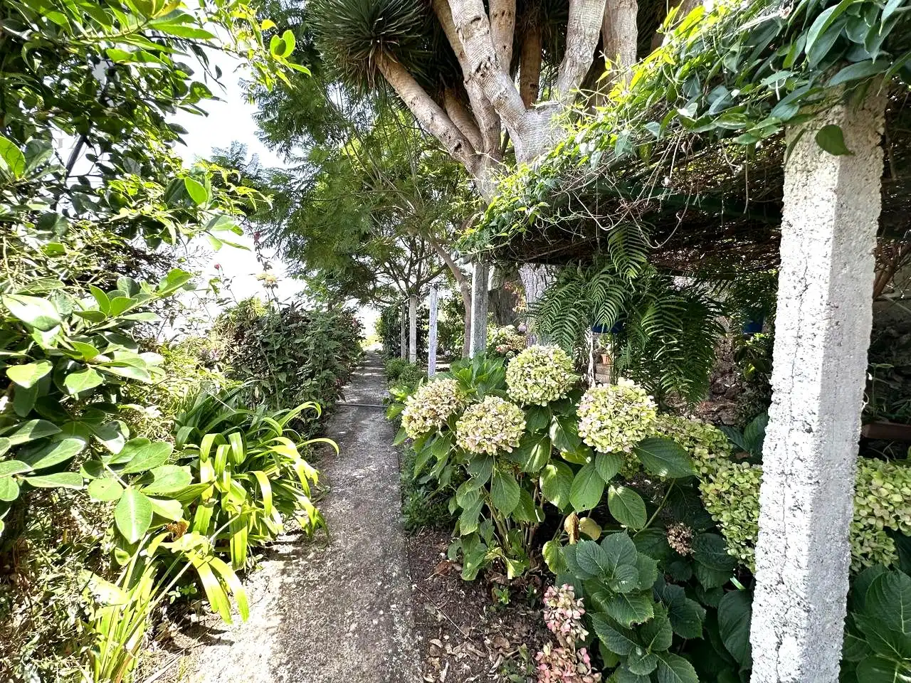 Casa con jardín en venta en La Vega - El Amparo - Cueva del Viento, imagen 36