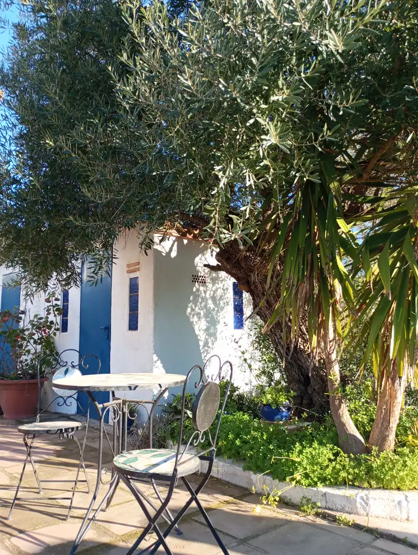 Garden of Country homes for sale in Monda  with Air Conditioner, Heating and Private garden