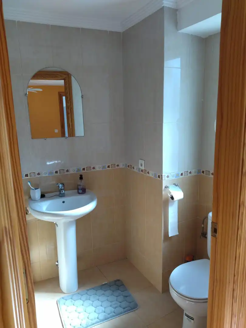 Bathroom of Houses for sale in Castillo de Locubín  with Terrace and Balcony
