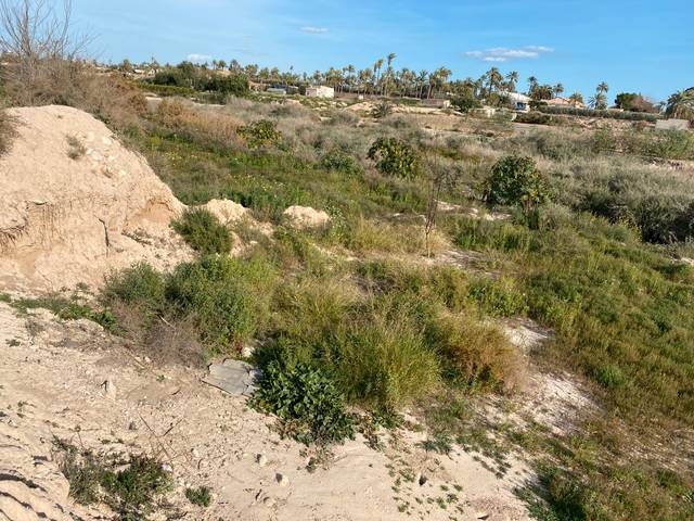 Terreno residencial en Venta en Elche/Elx, -1 en Algorós - El Derramador