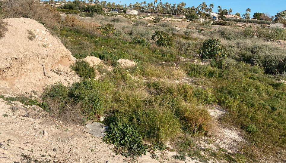 Photo 1 of Residential for sale in Elche/elx, -1, Algorós - El Derramador, Alicante