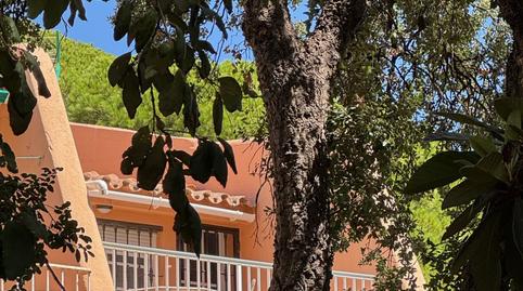 Foto 2 de Planta baja en venta en Seghers, Málaga