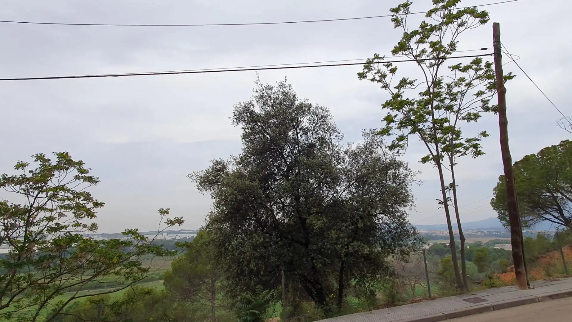 Terrenys i solars en venda a Camí de Santa Maria Vilalba 54, imagen 6