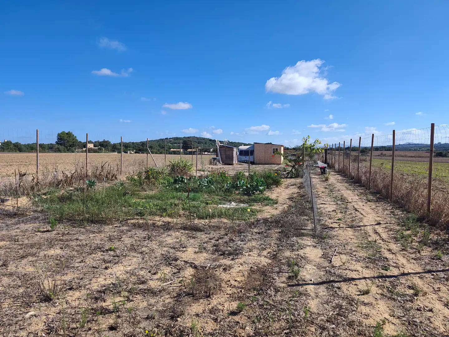 Rural land for sale in Sineu, imagen 30