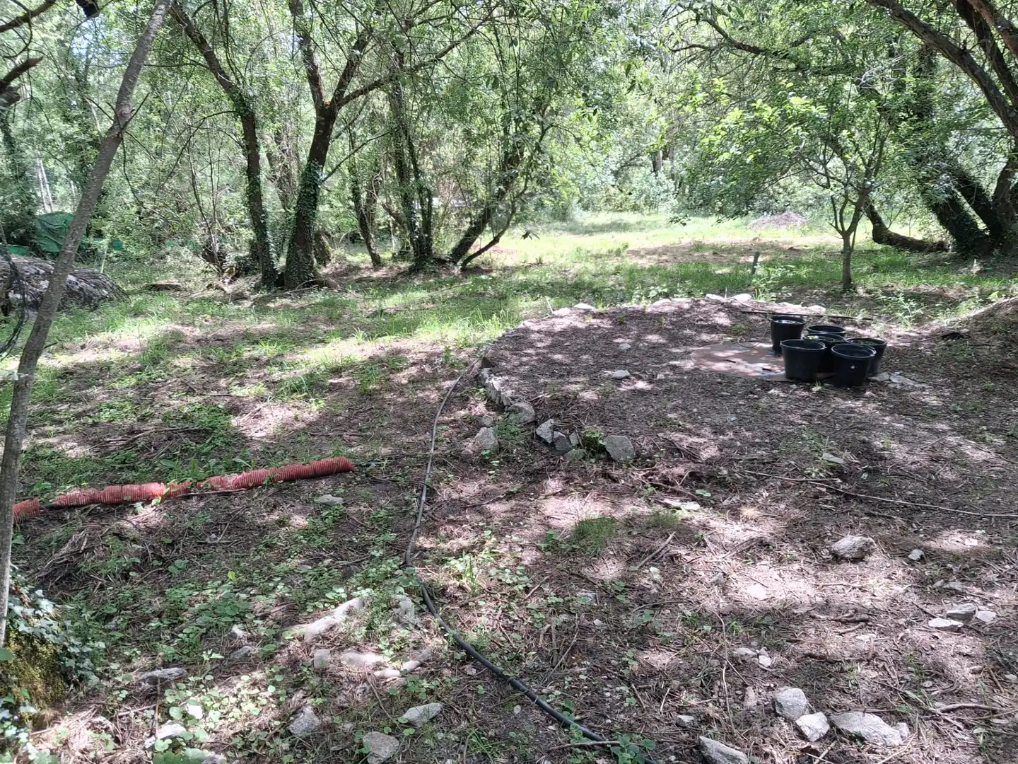 Rural land for sale in Calle del Concejo, imagen 12