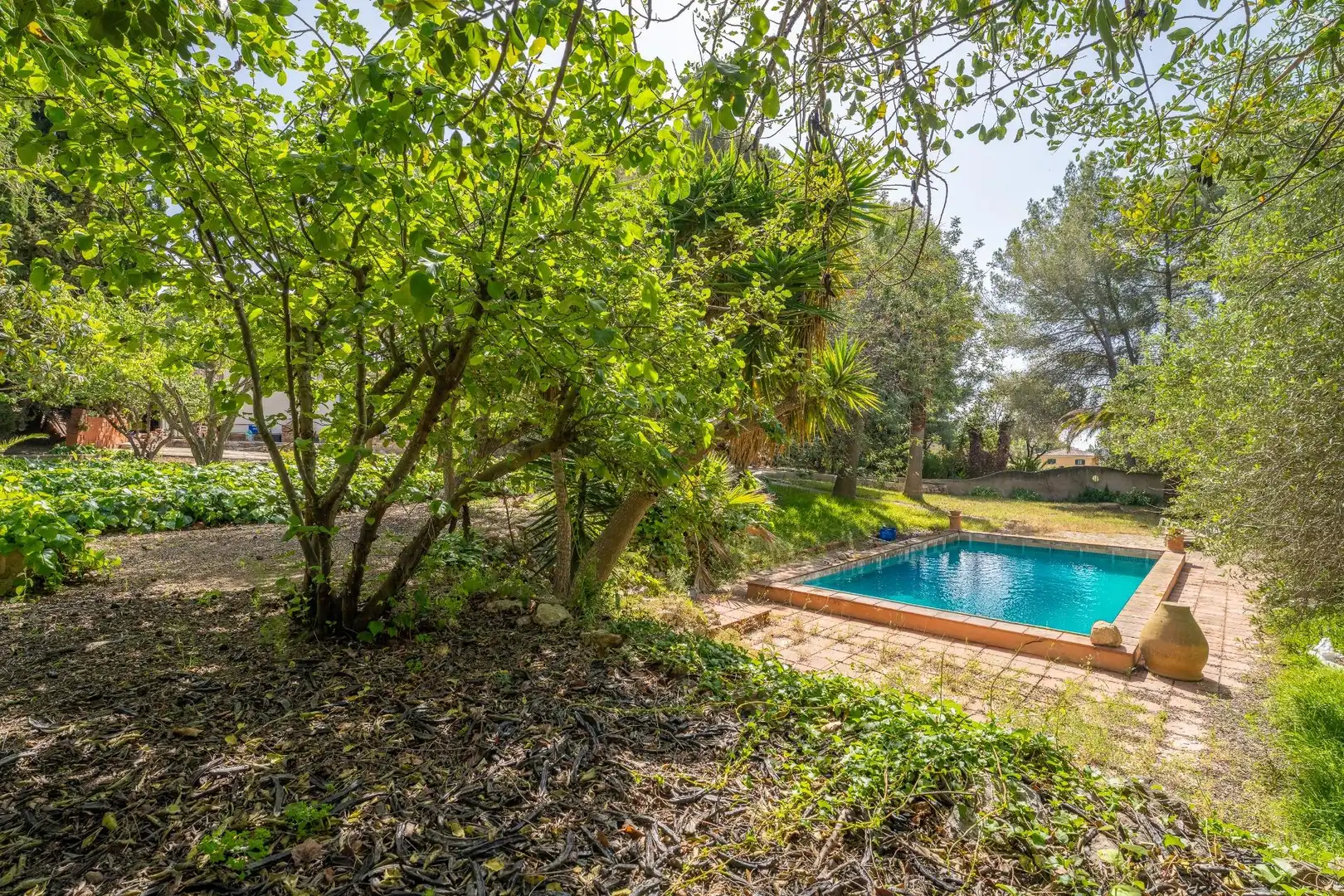 Villa avec piscine à vendre à MUNTANYA OLIVA-I, imagen 69