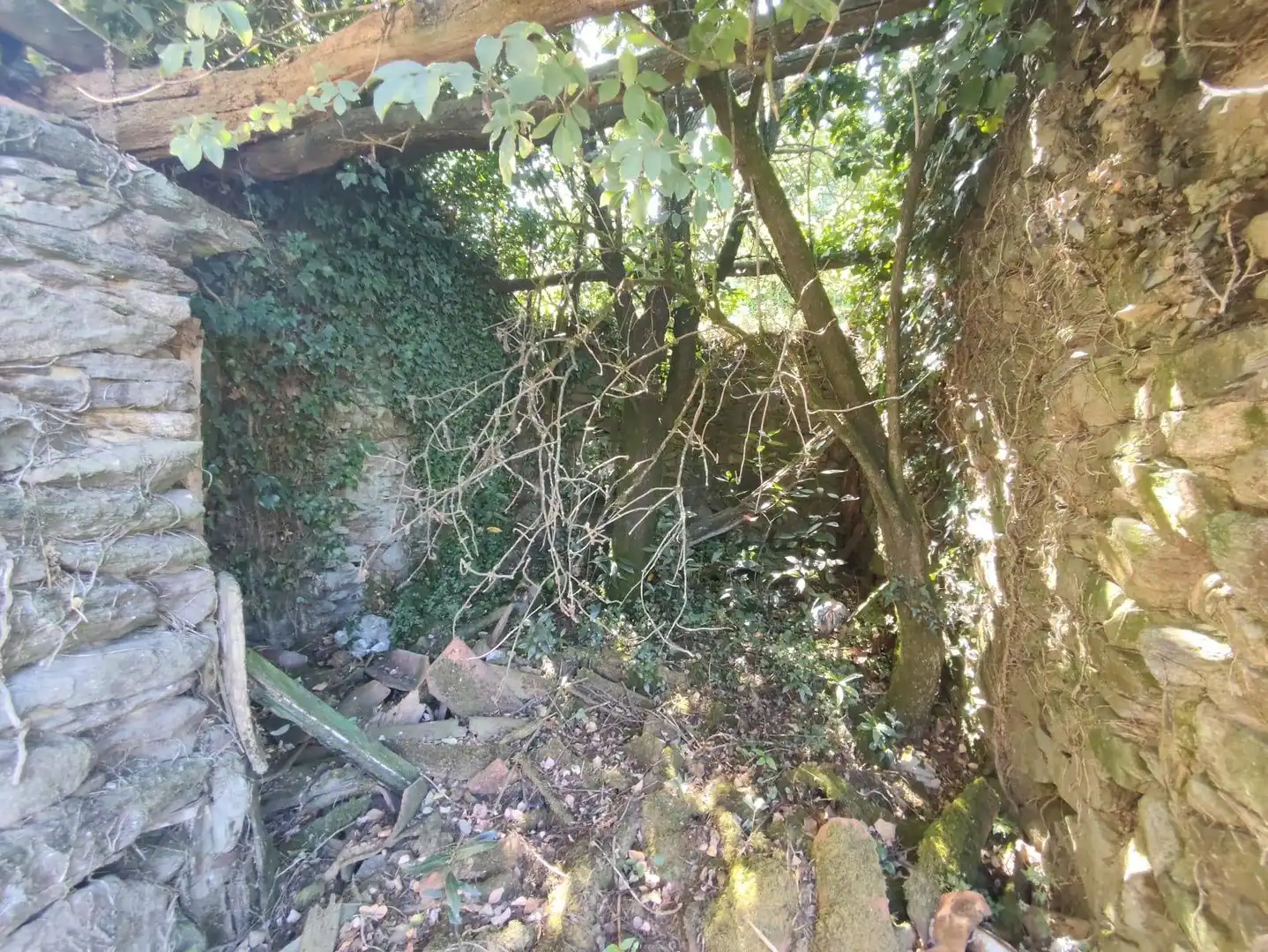 Maison à vendre à GRILLE, imagen 16