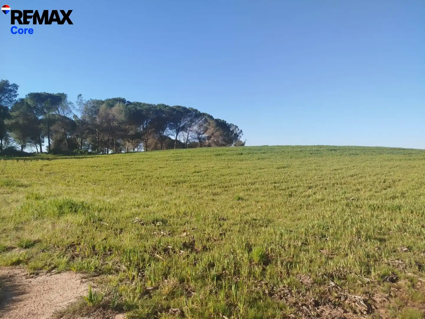 Land for sale in Mérida