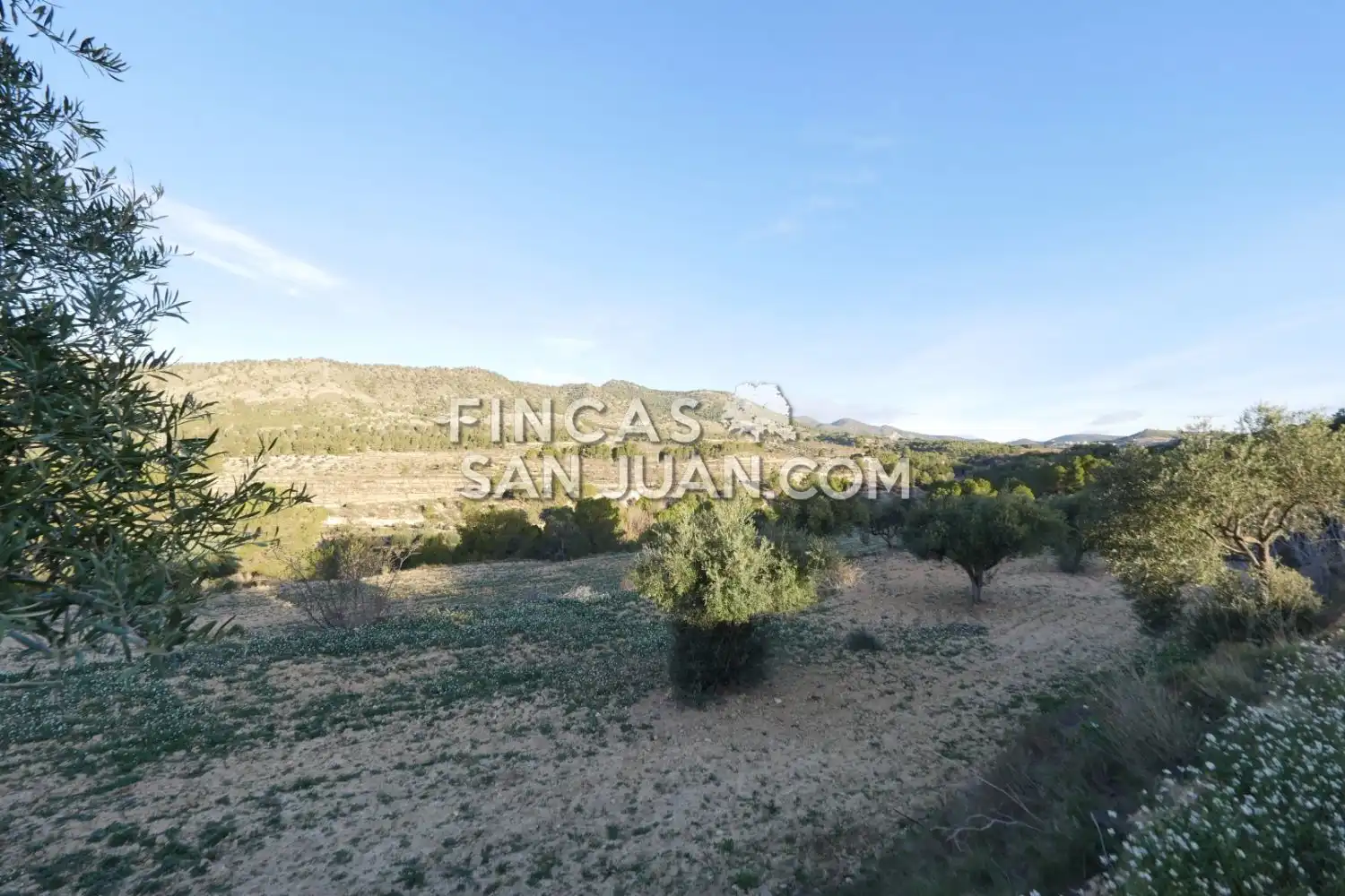 Terreny residencial en venda a Torremanzanas / La Torre de les Maçanes, imagen 15