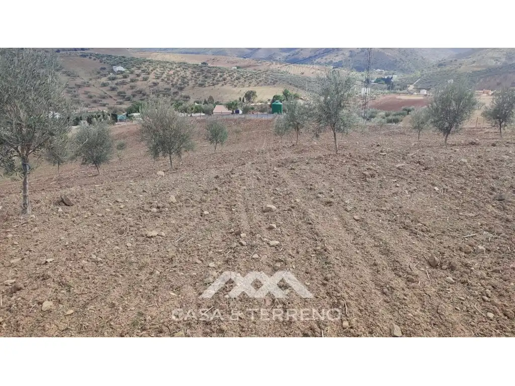 Terreni e lotti in vendita a Polígono 174 Parcela, imagen 12