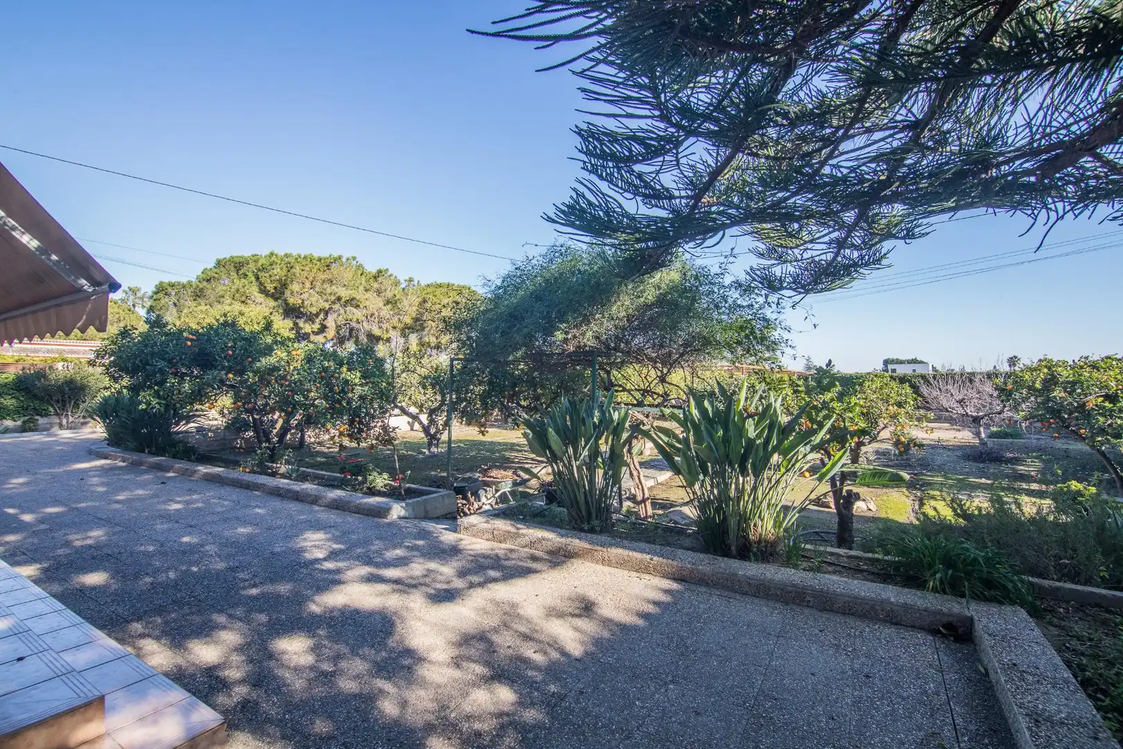 Exterior view of Houses for sale in Elche / Elx  with Private garden, Storage room and Swimming Pool