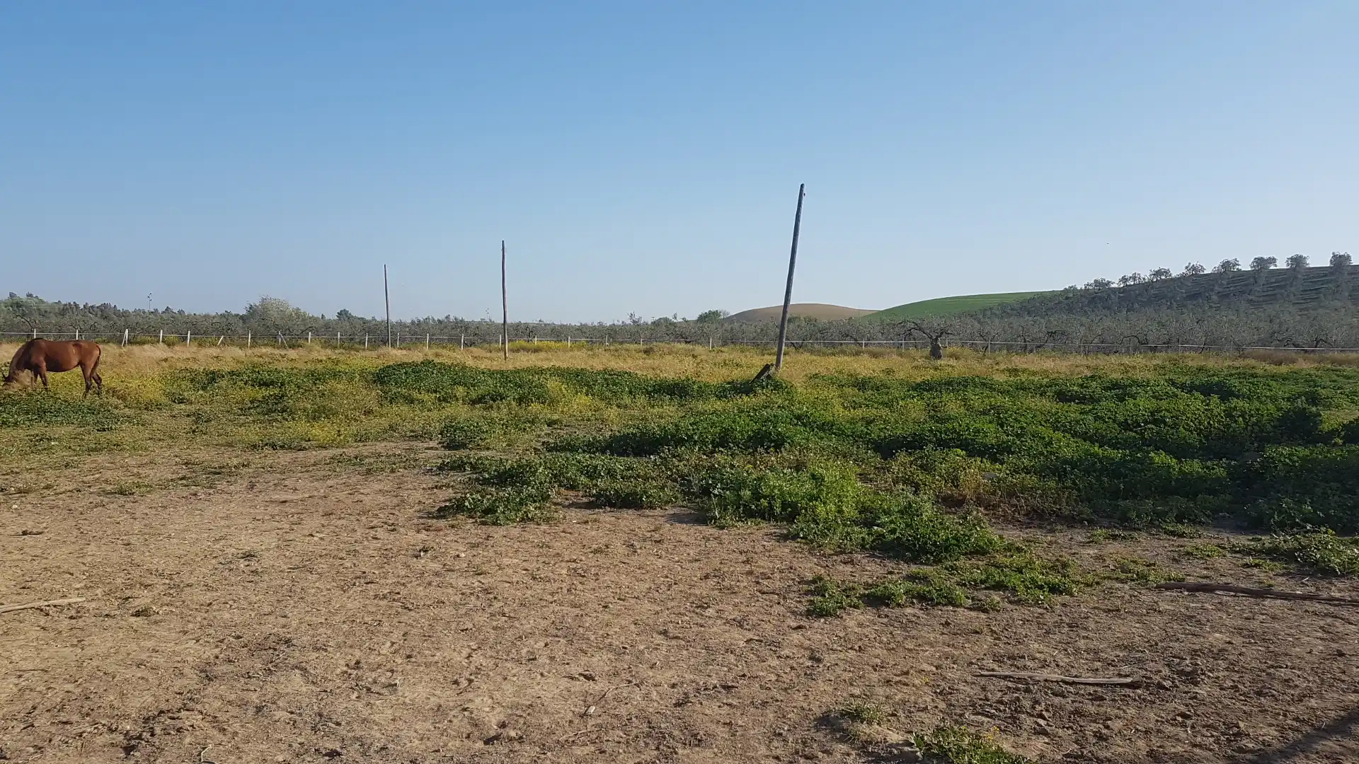 Terreni e lotti in vendita a Sanlúcar la Mayor, imagen 25
