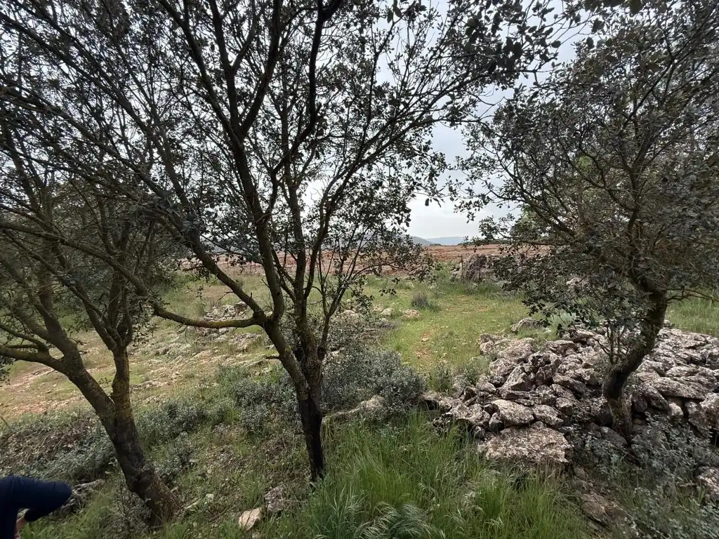 Casa o chalet en venta en Alhama de Granada