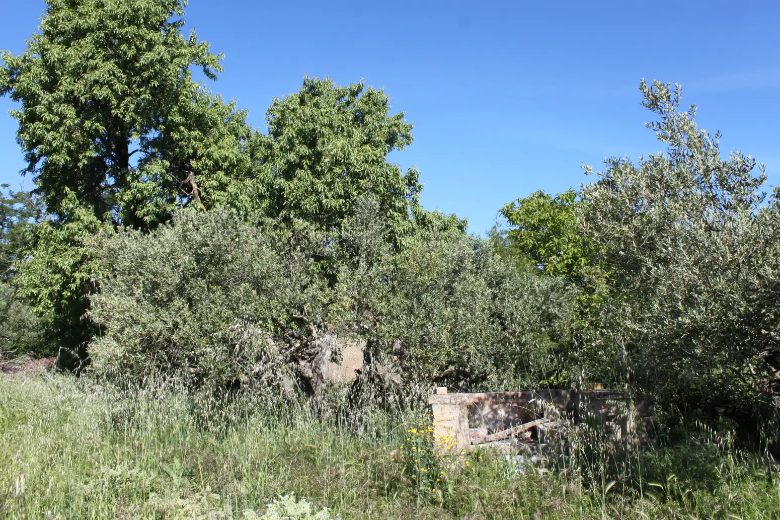 Terreno en venta en Tafalla