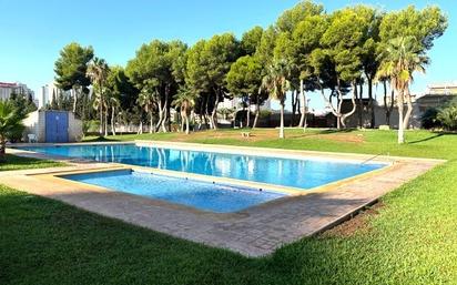 Piscina de Pis en venda en Benidorm amb Aire condicionat, Calefacció i Piscina