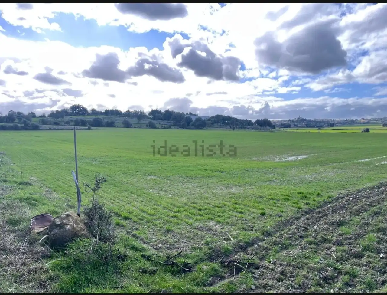 Terreny rústic en venda a Maria de la Salut