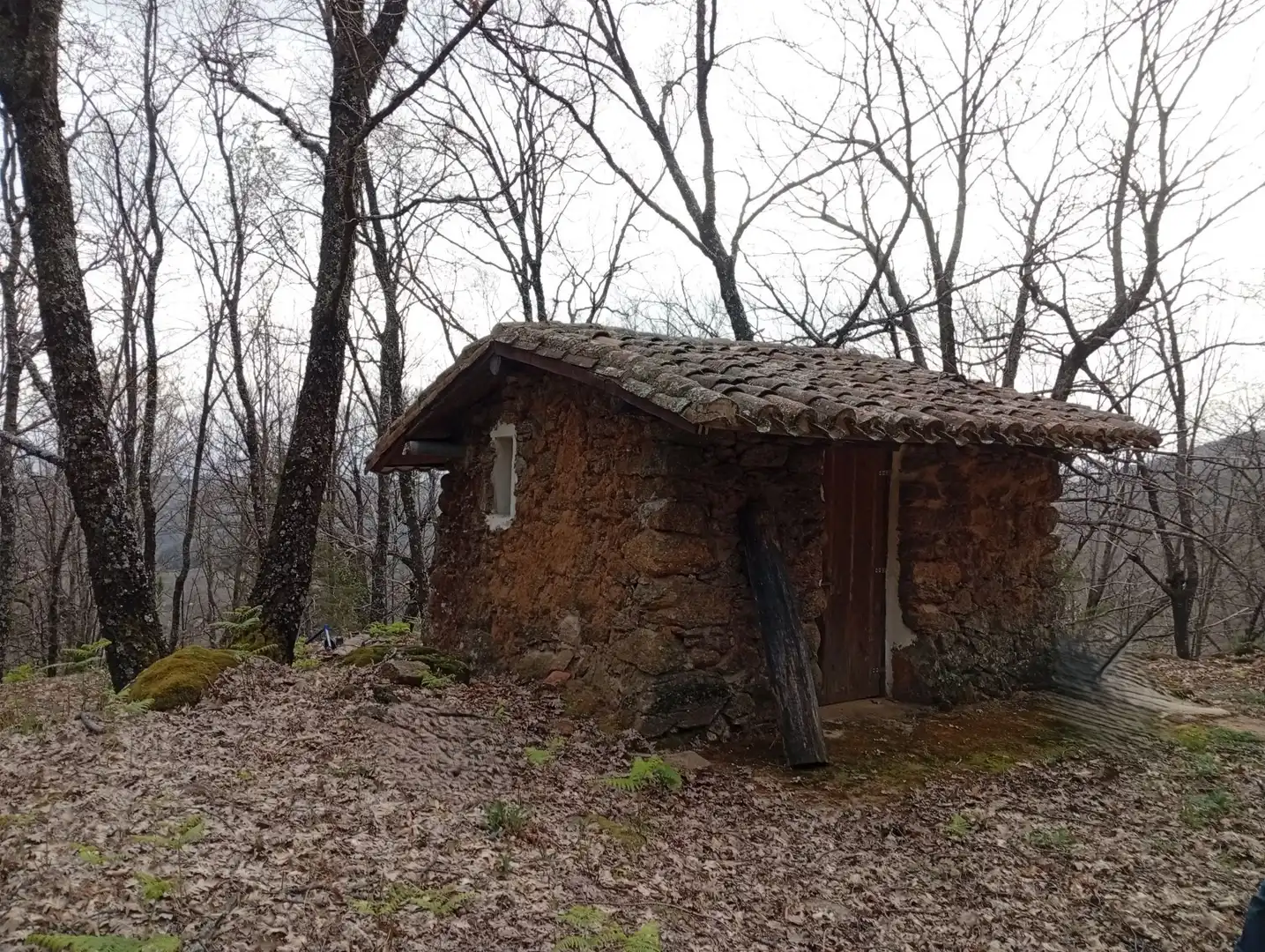 Terreni e lotti in vendita a Valverde de la Vera, imagen 121
