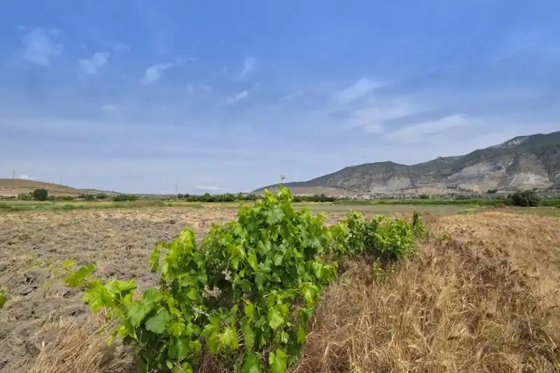 Terrenys i solars en venda a Albolote, imagen 25