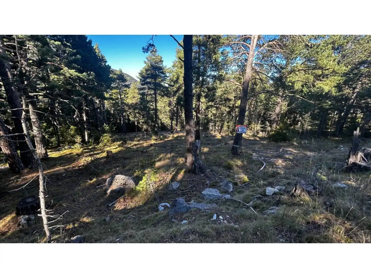 Rustikales Grundstück zum Verkauf in La Coma i la Pedra, imagen 5