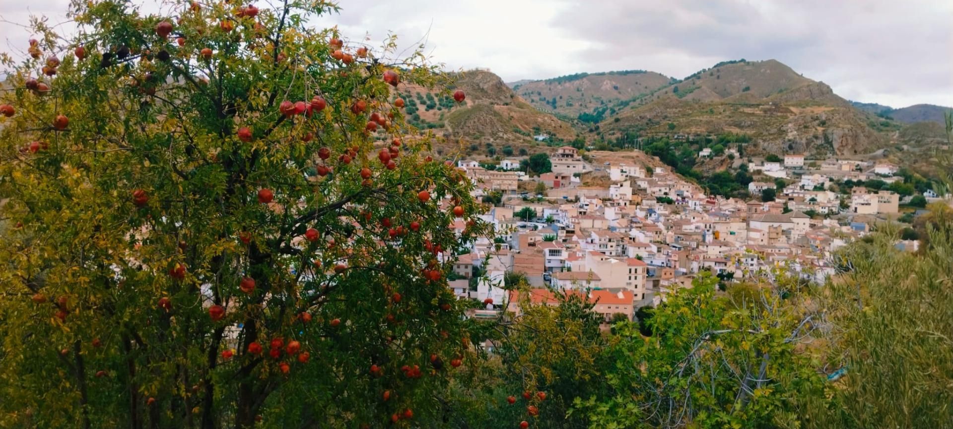 Vista exterior de Terreny en venda en Quéntar